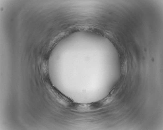 X0000053070335200508081226