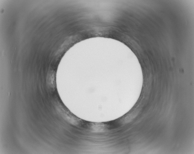 X0000053070336200508081226