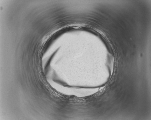 X0000053070337200508081225