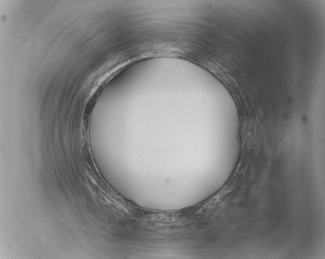 X0000053070338200508081225