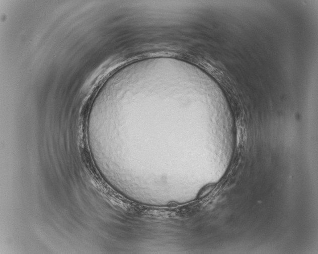 X0000053070339200508081225