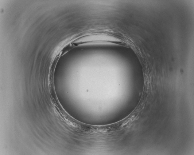 X0000053070340200508081225