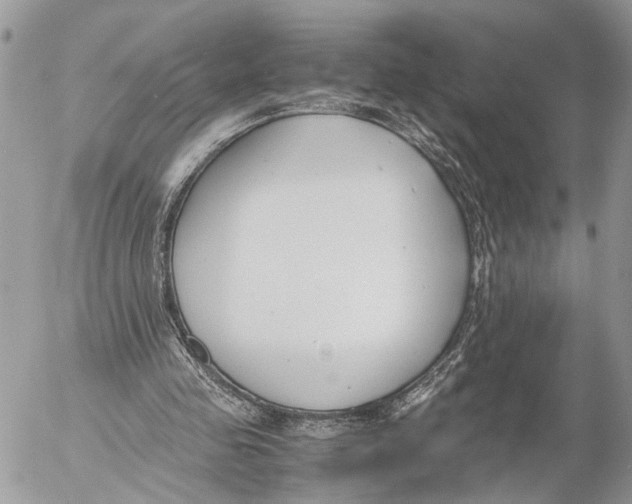 X0000053070341200508081225