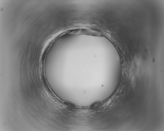 X0000053070342200508081225