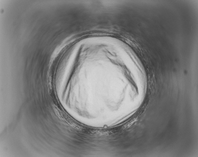 X0000053070343200508081225