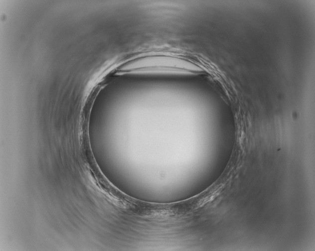 X0000053070344200508081225