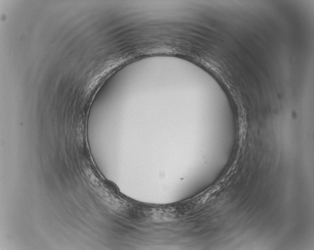 X0000053070345200508081225