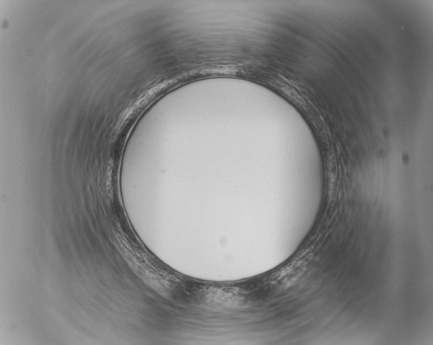 X0000053070346200508081225