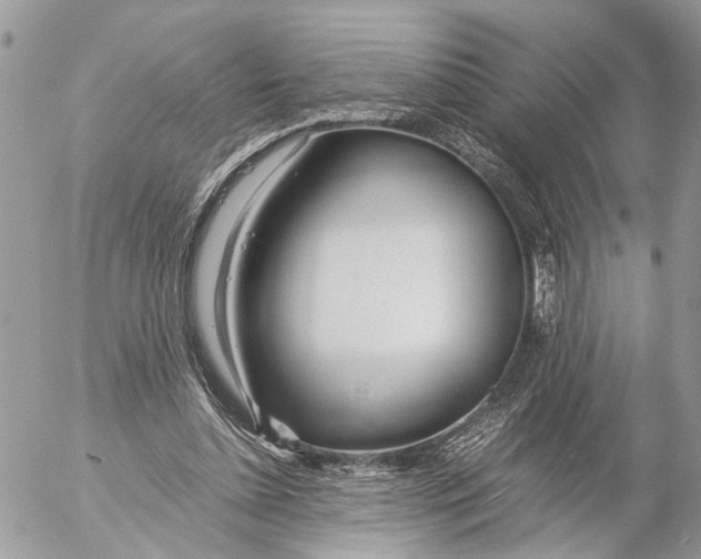 X0000053070348200508081225