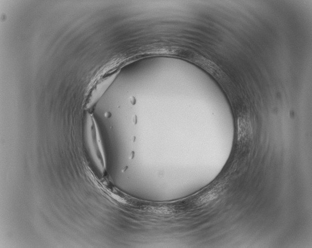 X0000053070349200508081225