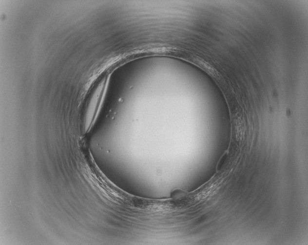 X0000053070350200508081225