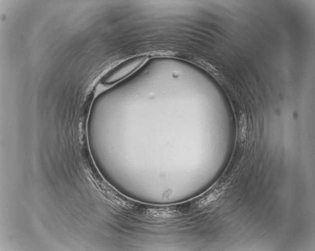 X0000053070351200508081225