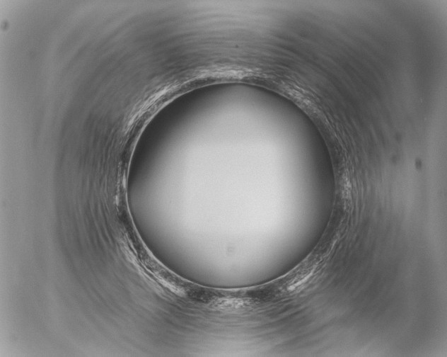 X0000053070352200508081225