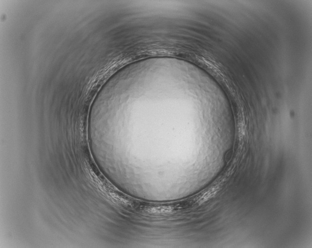 X0000053070353200508081225