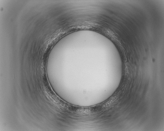 X0000053070354200508081225