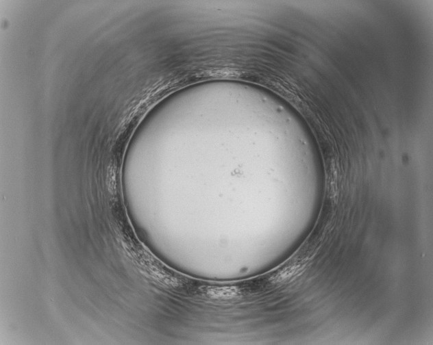 X0000053070355200508081225