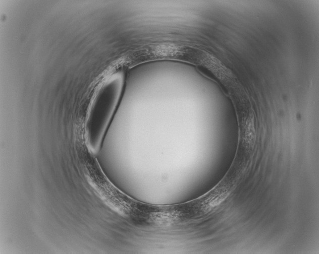 X0000053070356200508081225