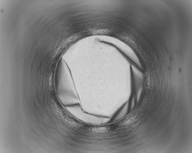 X0000053070357200508081225