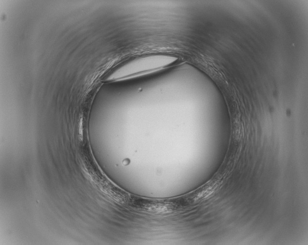 X0000053070358200508081226