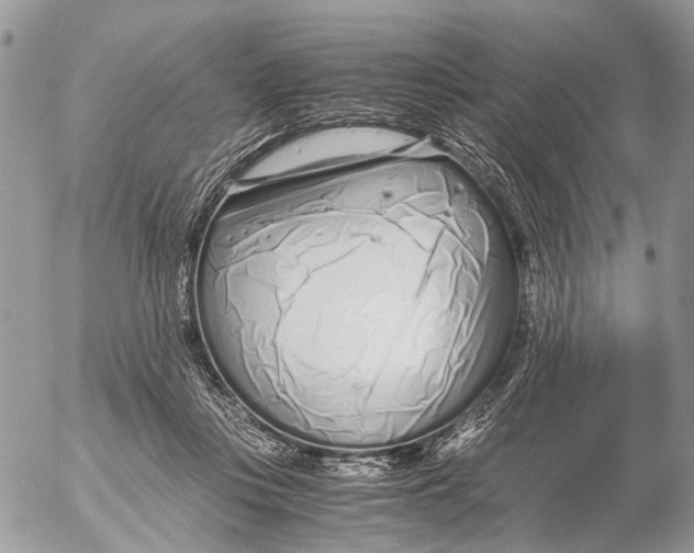 X0000053070359200508081226