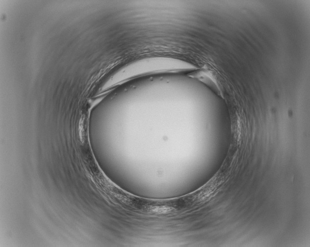 X0000053070360200508081226