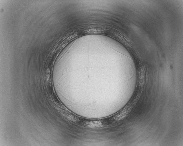 X0000053070361200508081226