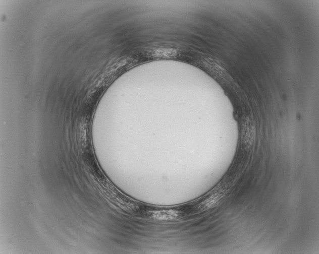 X0000053070363200508081226