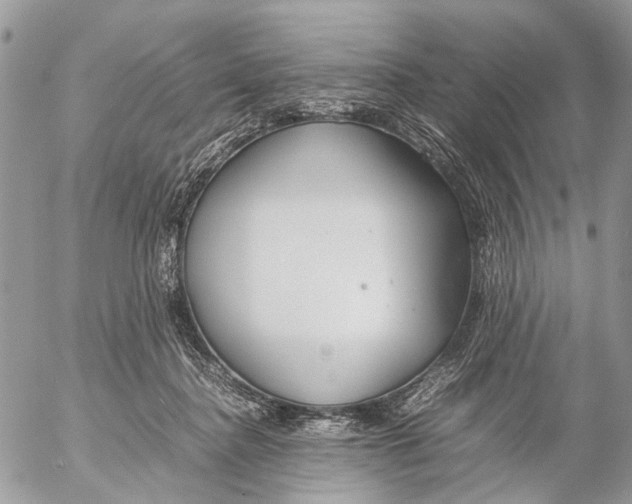 X0000053070364200508081226