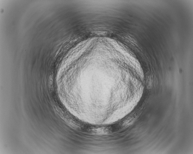 X0000053070365200508081226