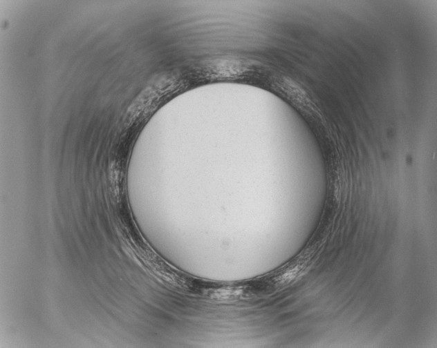 X0000053070366200508081226