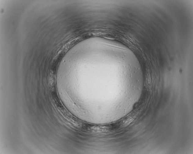 X0000053070367200508081226