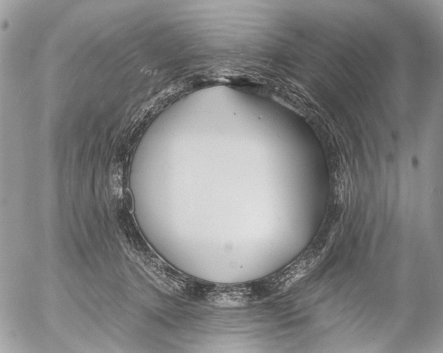 X0000053070368200508081226