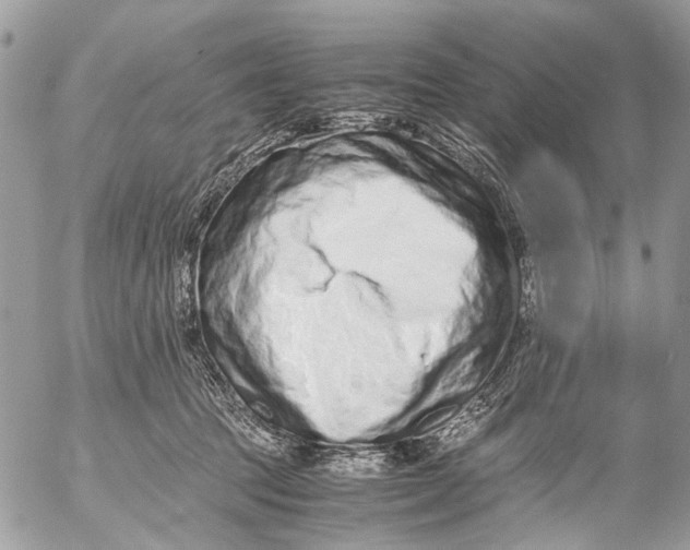 X0000053070369200508081226