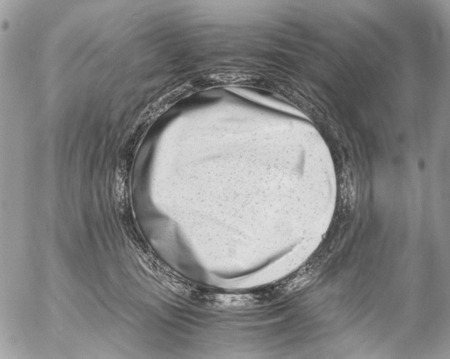 X0000053070371200508081226