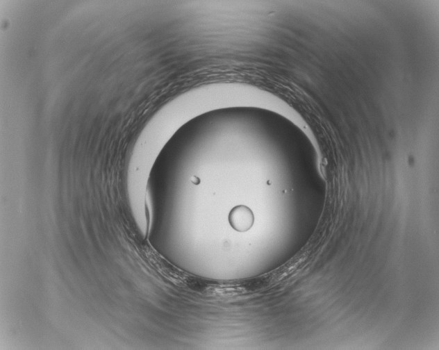 X0000053070372200508081226