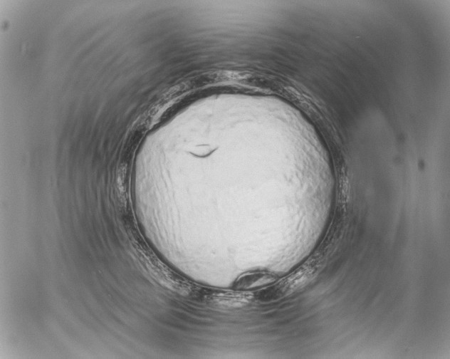 X0000053070373200508081226