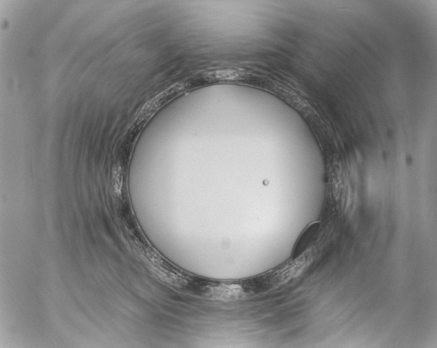 X0000053070374200508081226