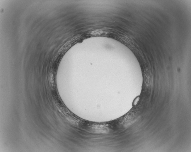 X0000053070375200508081226