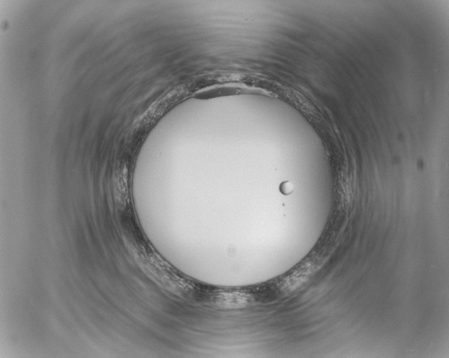 X0000053070376200508081226