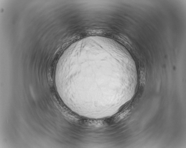 X0000053070377200508081226