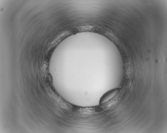 X0000053070378200508081226