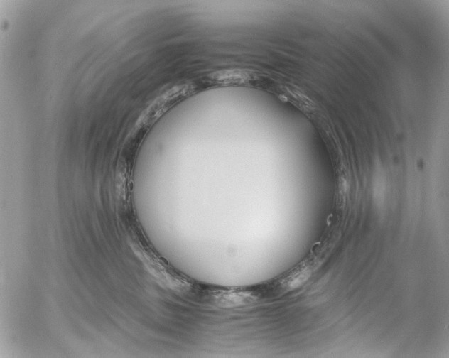 X0000053070379200508081226