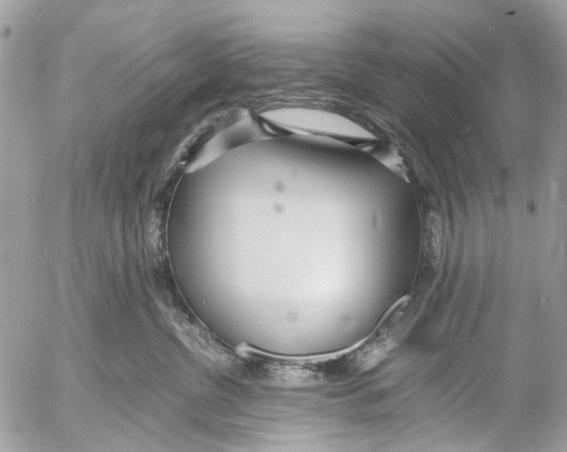 X0000053070380200508081226