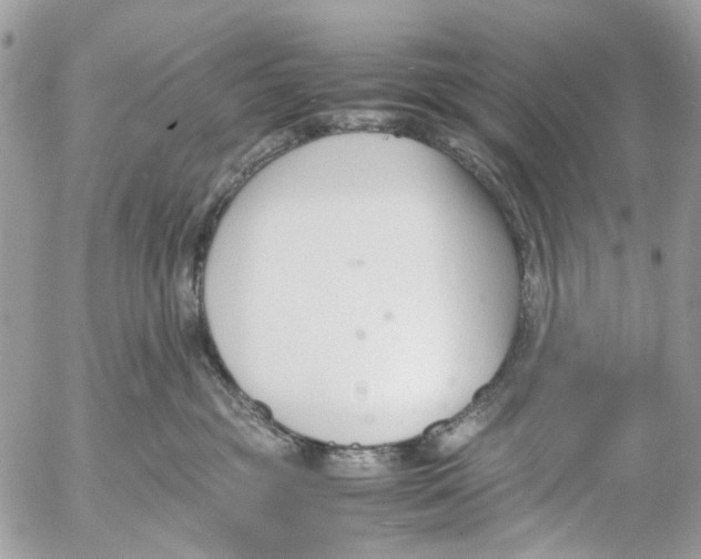 X0000053070381200508081226