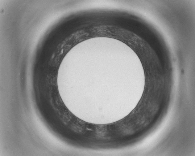 X0000053070382200508081226