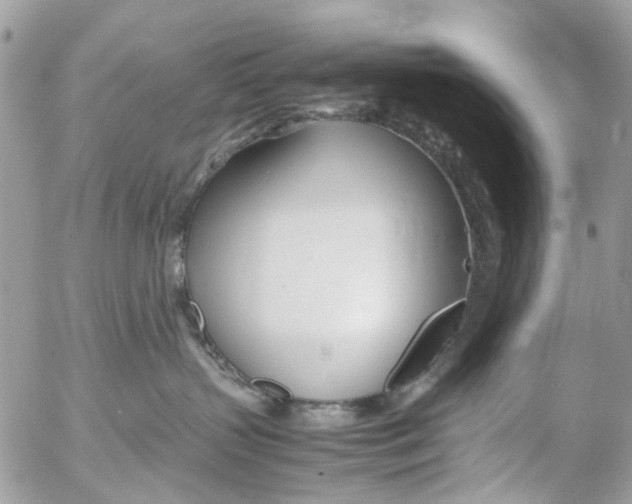 X0000053070383200508081226