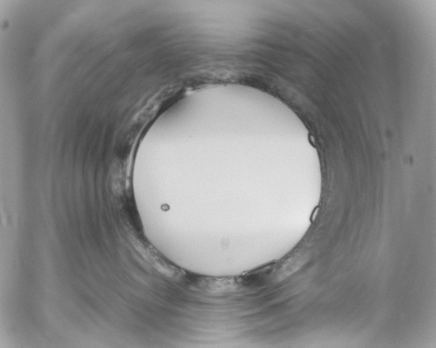 X0000053070384200508081226