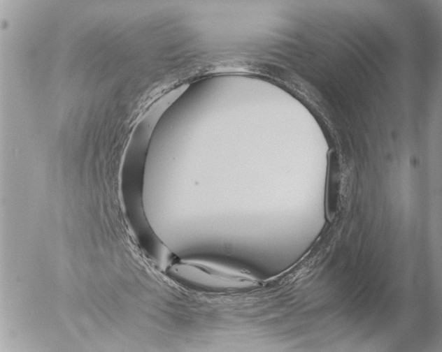 X0000053070385200508081225