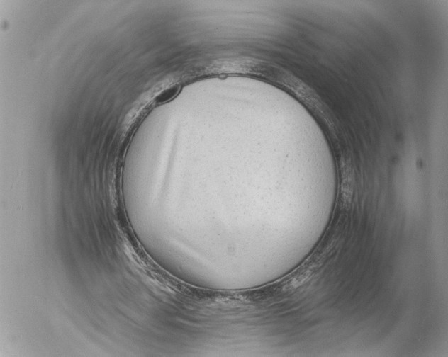 X0000053070386200508081225