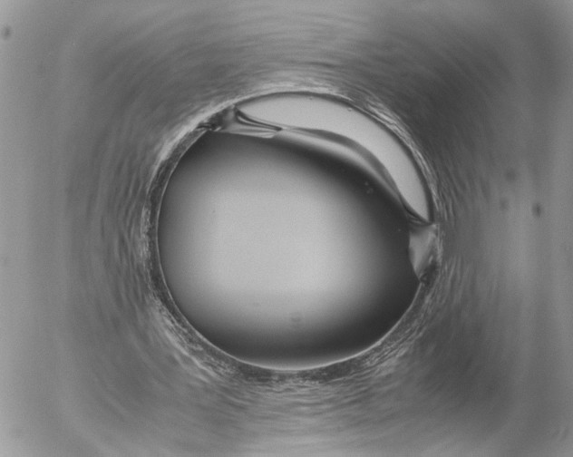 X0000053070387200508081225